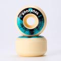 AQUA BRUSH 54MMMM CLASSIC - 100SF